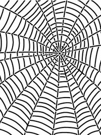 Bild på spindelnät